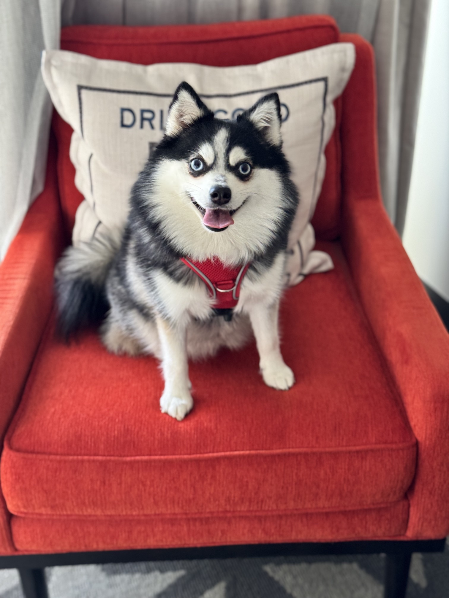 Kiki