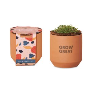 Modern Sprout Tiny Terracotta Grow Kit Champagne Poppies