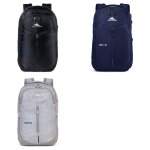 High Sierra Swerve Pro Laptop Backpack