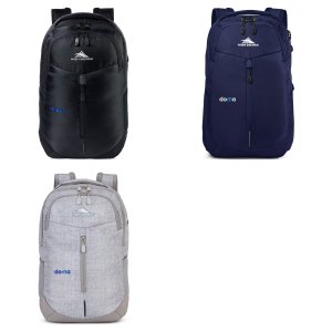 High Sierra Swerve Pro Laptop Backpack