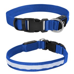 Pet Parade Light Up LED Collar, Medium