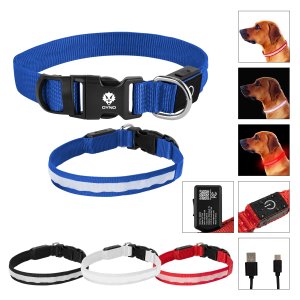 Pet Parade Light Up LED Collar, Medium