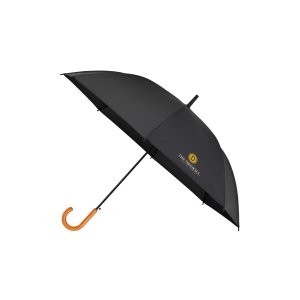 The Parkview 50" Auto Open Umbrella