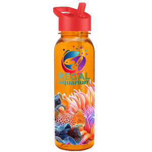 Explorer Tritan Bottle with Flip-Straw Lid - 24 oz.