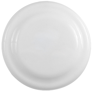 Fetch & Fly 7" Dog Disc
