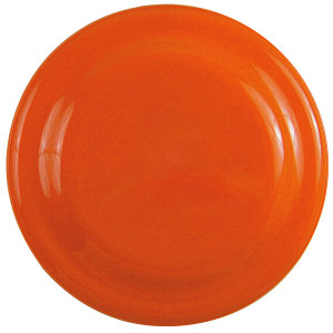 Fetch & Fly 7" Dog Disc