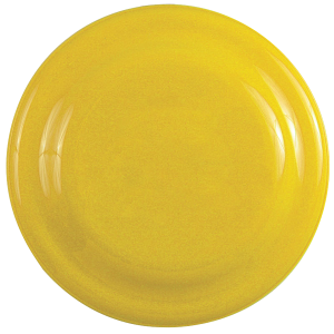 Fetch & Fly 7" Dog Disc