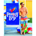 Creativity Canvas Velour Beach Towel