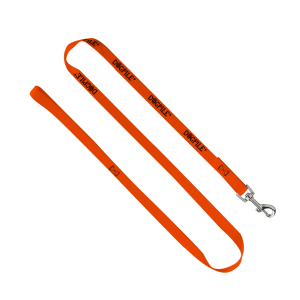 3/4" Smooth Nylon Pet Leash with Bright Metal Snap Hook