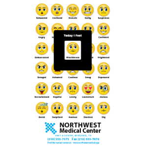Mood Meters Mood Magnet