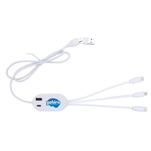 Multi-Connector Charging Hub with USB Ports