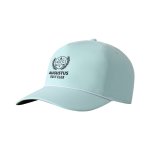Robins Egg/White