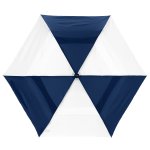 Navy/White