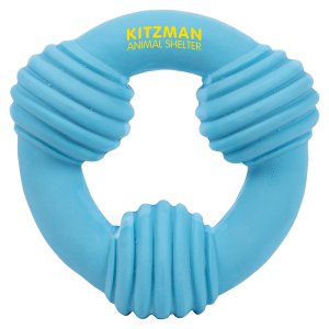 Fetch & Tug Ring Toy