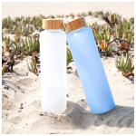 18 oz h2go rincon Glass Bottle