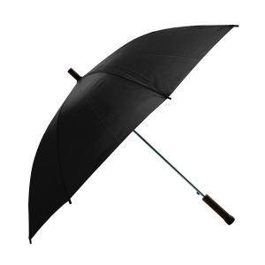 Shed Rain Pathfinder 48" Auto-Open Stick Umbrella