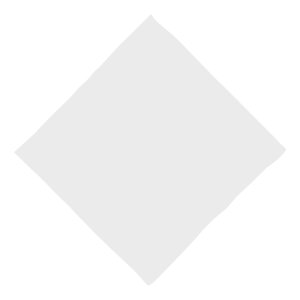 Paws & Print 16" Polyester Bandana