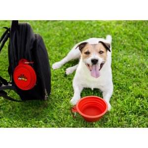 Trail Buddy Collapsible Pet Bowl
