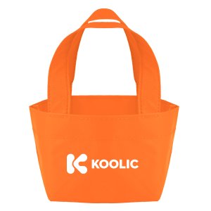 Tiny Tote for Big Plans