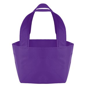 Tiny Tote for Big Plans