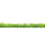Good Value™ Paper Mouse Pad - 50 Sheet