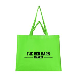 Eco Market Buddy Dual Handle Tote