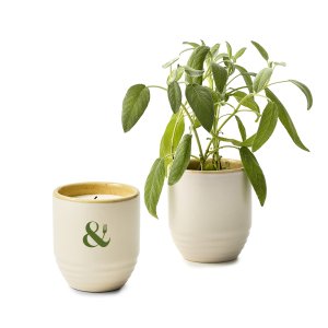 Modern Sprout Garden Vibes Candle/Planter