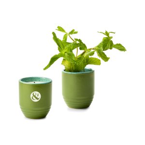 Modern Sprout Garden Vibes Candle/Planter