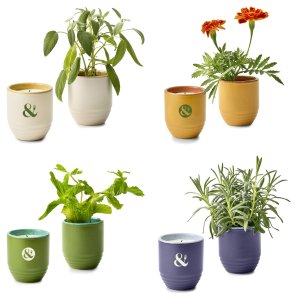 Modern Sprout Garden Vibes Candle/Planter