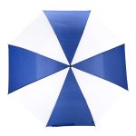Royal/White