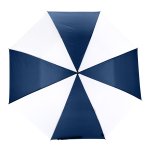Navy/White