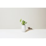 Modern Sprout Tapered Tumbler Grow Kit