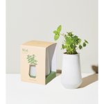 Modern Sprout Tapered Tumbler Grow Kit