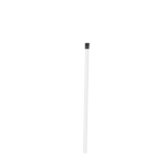 Clear