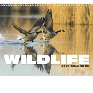 Wildlife Appointment Calendar - Spiral