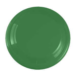 9 Inch Recycled Flyer