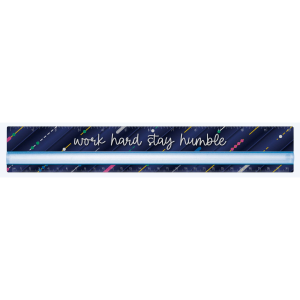 See-Through Magnifier Ruler 12 Inch