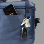 Can Structured Carry Cooler