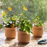 Modern Sprout Tiny Terracotta Lucky to Have You