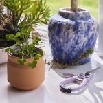 Modern Sprout Tiny Terracotta Lucky to Have You