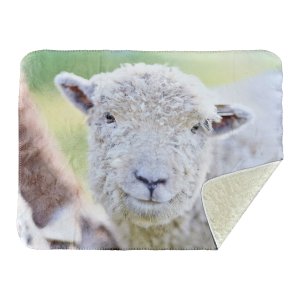 Cloud Comfort 30" x 40" Blanket