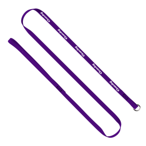 1/2" x 60" Smooth Nylon Pet Slip Leash