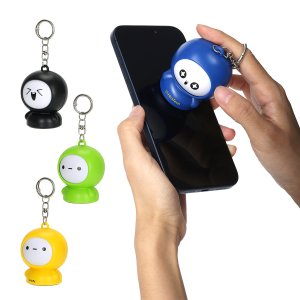 Expression Screen Cleaner Key Ring