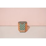 Modern Sprout Tiny Terracotta Grow Kit Good Luck Clover