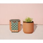 Modern Sprout Tiny Terracotta Grow Kit Good Luck Clover