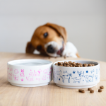 Little Ceramic Pet Bowl