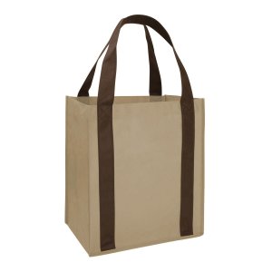 Handled and Ready ColorPop Tote