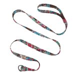 Paws & Colors 60" Slip Leash