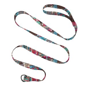 Paws & Colors 60" Slip Leash