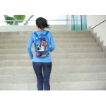 Small & Clear Stadium Daypack
